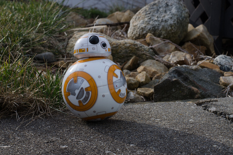 Image: Shot at f/16. A small opening that provides lots of depth of field (in focus area of the imag...