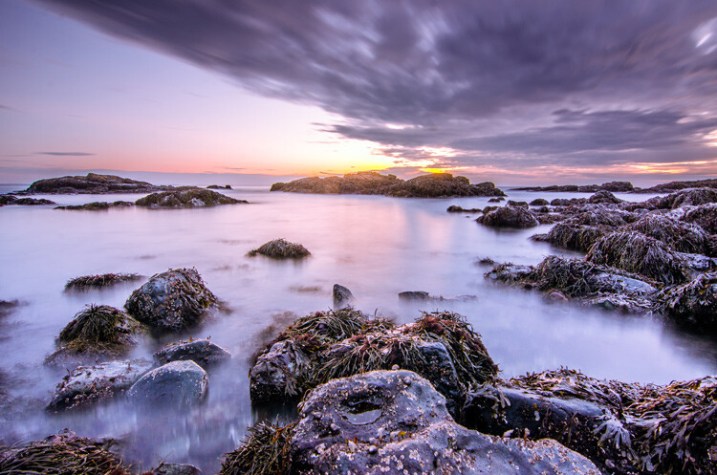 The dPS Ultimate Guide to Photography for Beginners