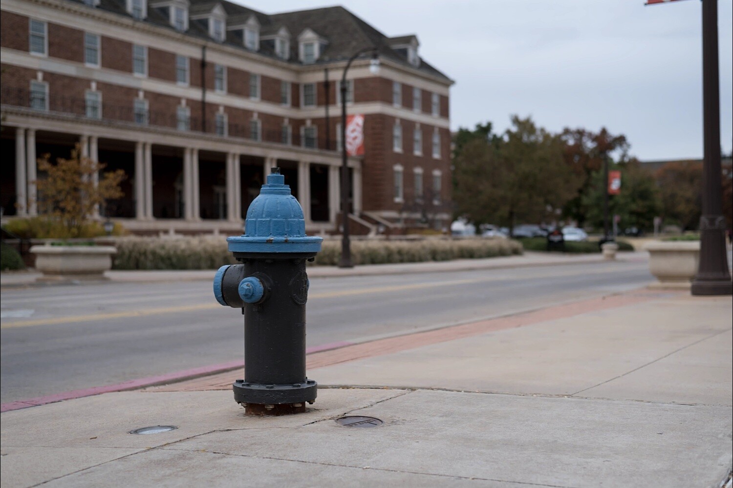 Lightroom Object Selection, a blue and gray fire hydrant next to a street.