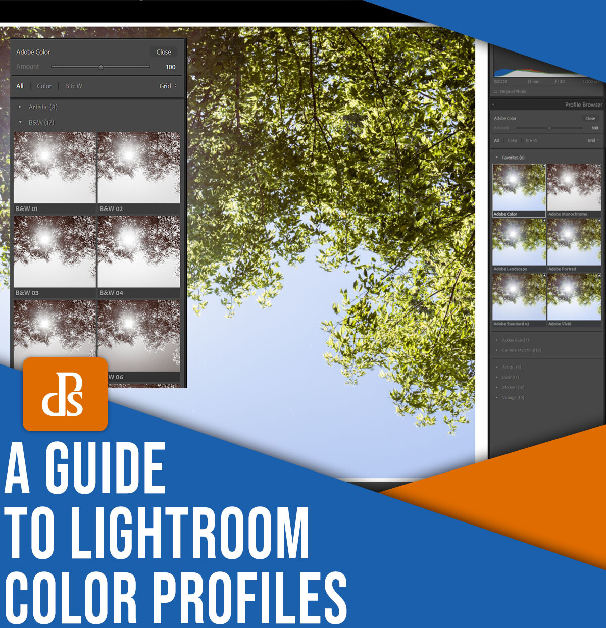 A guide to Lightroom color profiles