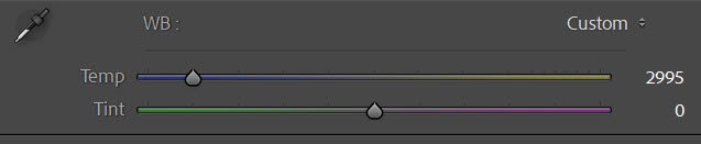 white balance temperature and tint