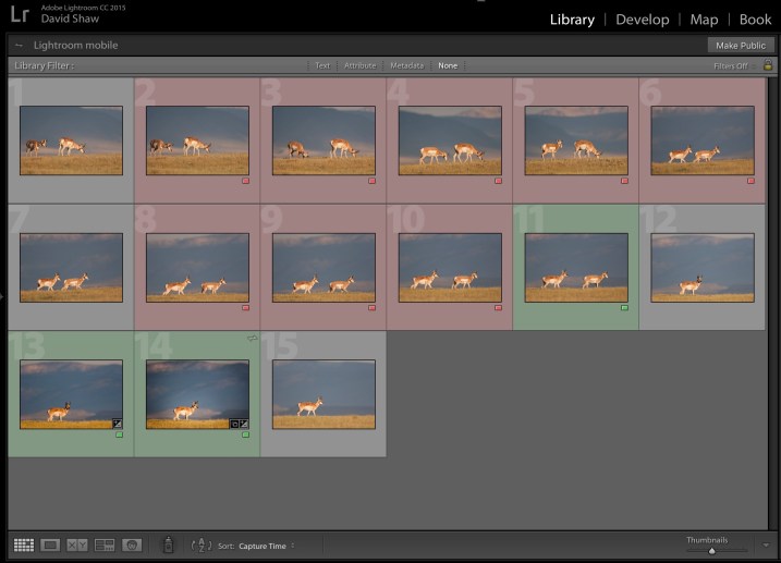 Cull Your Photos Carefully - 5 Steps to Follow Before You Hit Delete