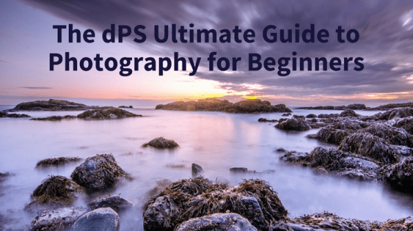 The dPS Ultimate Guide to Photography for Beginners